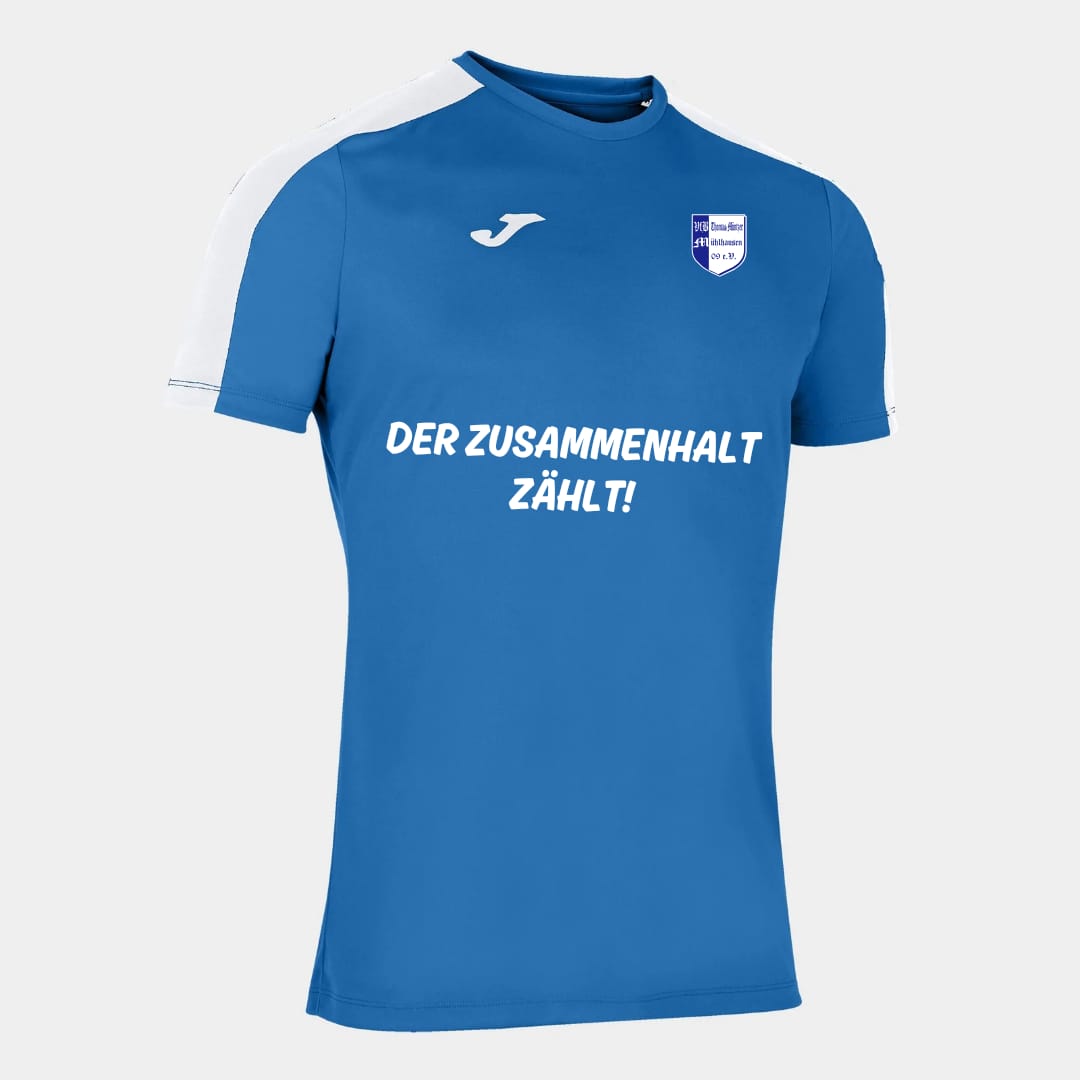 Fan-Trikot Saison 24/25
